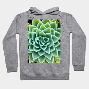 Green Star Succulent with Raindrops Hoodie